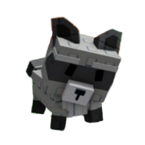 Racoon Pet